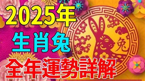 2024屬兔的運勢|【2024 屬兔運程】免驚！2024年屬兔運勢全攻略 逆轉。